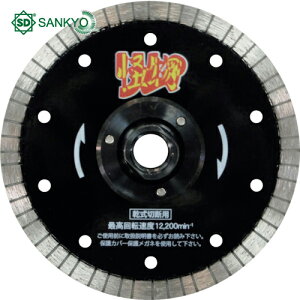 O_ChH ̉tWt S؃RN[gEeΐؒfp 125×M10 (1) iԁFRW-KBF5 M10