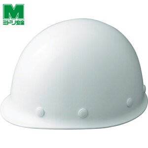 ~hS Ζwbg TCYyʃwbg FRP (1) iԁFSC-LMKRA(S)-KP-W