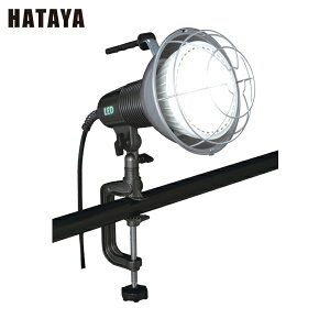 n^ LED [NCg 45W LEDƓ 100V (1) iԁFRXL-10W