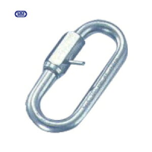 { XeX s~߃OLb` a6mm49mm (1) iԁFSHT-6