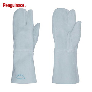 yMG[X Ǝ v nڗpv v3{w t[TCY (1o) iԁFTH-410