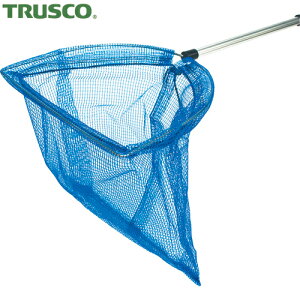 gXR TRUSCO ^ LkElbg^Cv (1{) iԁFTMAM