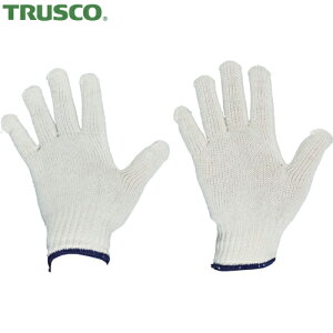 gXR TRUSCO Ǝ ȌR 10o ڕt600g (1) iԁFTCG600-10P