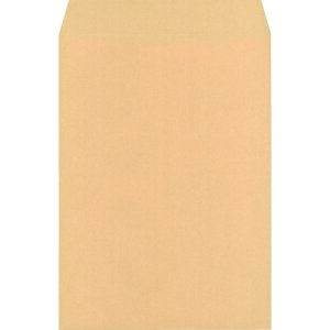 LOR[|[V p`2 85g IpX i500j (1Pk) iԁF150101