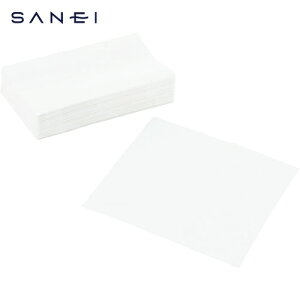 TGC SANEI y[p[^I (1Pk) iԁFW49-2