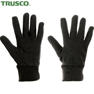 gXR TRUSCO Ǝ ׂ~ߕth LTCY (1o) iԁFWGNS-L