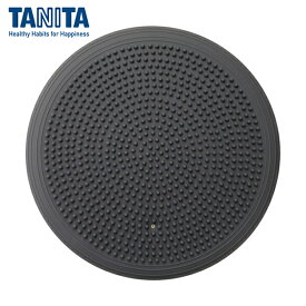 TANITA(タニタ) バランスクッション TS-959-GR (1個) 品番：TS-959-GY