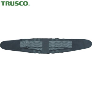 gXR TRUSCO [LOT|[^[ p LTCY (1) iԁFTWS-K03L