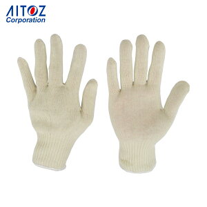 ACgX Ǝ xNgϔM ؑnh~ 10Q[W (1o) iԁFVR-33