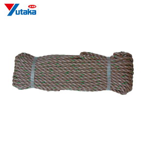 ^JCN [v PPgbN[viOBj 9×20 (1) iԁFTRP-2