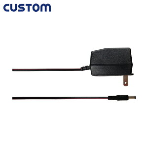 CUSTOM JX^ fW^͂pACA_v^[ (1) iԁFVSM-1231