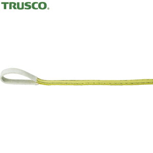 gXR TRUSCO |GXeXO [AC` 25mm×0.5m (1{) iԁFTPS25-05