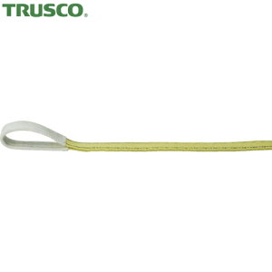 gXR TRUSCO |GXeXO [AC` 25mm×0.7m (1{) iԁFTPS25-07