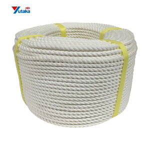 ^JCN Ni[v 6×100m (1) iԁFV6-100