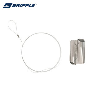 Obv C[[v GLXvX No.2 + [vibLj - 2m (1S) iԁFXP2-LG-2M-1B