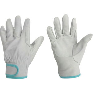 ~^j Ǝ v 433tBbgiu^W[Lj (1o) iԁF209006