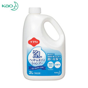 Kao ԉ wō Ɩp\teB Ãwbh{fBVv[ 2L (1) iԁF366610