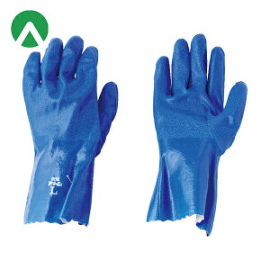 Ag Ǝ jgS lIC[O LL (1o) iԁF213LL