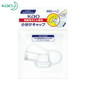 Kao ԉ Ɩp Ɩp{gpLbv (1) iԁF506108