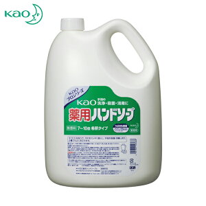Kao ԉ Ɩppԉnh\[v 4.5L (1) iԁF503688