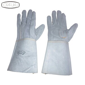 ӂ Ǝ Ǝ 406 vn  5w O^Cv (1o) iԁF406