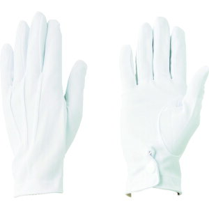 Y Ǝ XX iCW zbNt S (1o) iԁF211-S