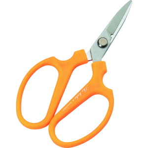 ⌹ nT~ Ntgp ~jt[CN (1) iԁF20391