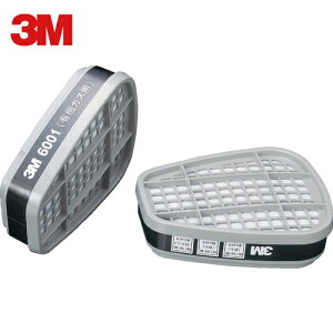 3M X[G hŃ}XNpz 6001 2 (1g) iԁF6001