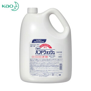 Kao ԉ nh\[v ƖpN[N[F1 ߂p4L (1) iԁF508041