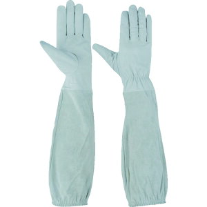 HO-KEN z[P Ǝ v I܂Œ`v M (1o) iԁF55698