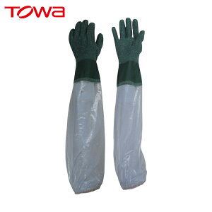 a rjX^[ Ǝ rJo[t rjX^[rJo[t| L (1o) iԁF615-L