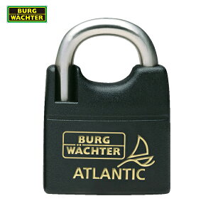 uN Fq^[ Jo[tXeXVbN싞 钷 AgeBbN 217F-4045NiSB (1) iԁF10421