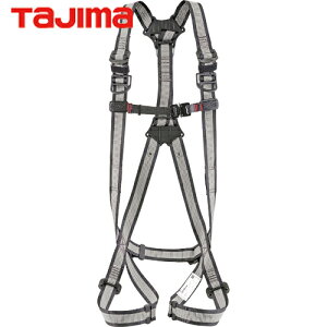 ^W} tajima tn[lXGS C STCY (1{) iԁFAGSS-LWH