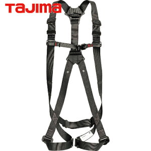 ^W} tajima tn[lXGS  STCY (1{) iԁFAGSS-BK