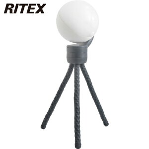 CebNX RITEX hƗpZT[Cg [dǂłZT[Cg (1) iԁFASC-900