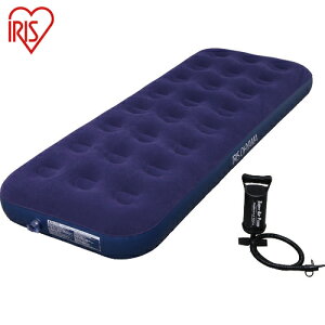 ACXI[} IRIS 531346 GAxbh (1S) iԁFABD-1N