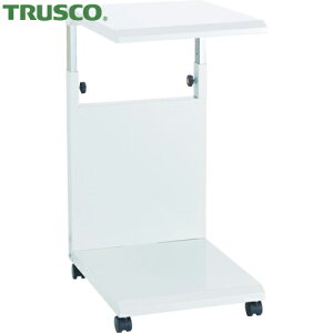 gXR TRUSCO ߎTChS (1) iԁFASW-1