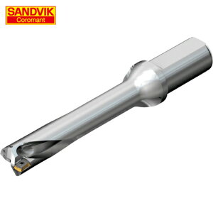 SANDVIK ThrbN RhDS20nhi465j (1{) iԁFDS20-D2600L32-05