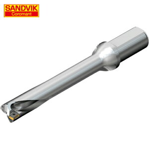 SANDVIK ThrbN RhDS20nhi465j (1{) iԁFDS20-D2500L25-06