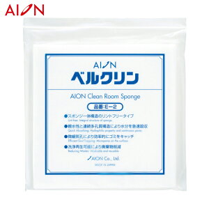 ACI AION xN E-2 i5/܁j (1) iԁFE-2