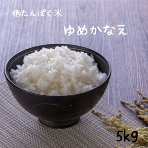 ^pN 5kg  ߂Ȃ V ߘa7NtY Oe  yz(kCABA)  Ⴝς   MtgĉHs@t