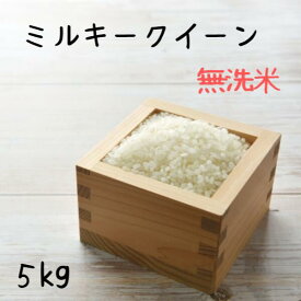 無洗米 5kg ミルキークイーン 送料無料 おいしい 米 5キロあす楽（注文日時、配達地域による）令和5年産