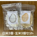 米粉麺　フォー（白米）120g×3(玄米)100g×3　計6食　※ポスト投函のお品です。日時指定・代金引換不可