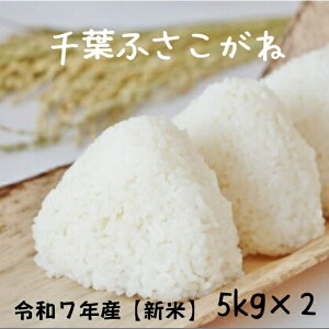  10kg V  ĉiIvVĉHƂiJ[gɒǉĉjV 10kg ӂˁ@ߘa7NY@tY10kgi5kgx2j́@ɍœKyzik