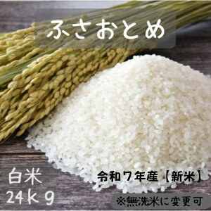  24kg   V ĉiʓrĉĤwKvjߘa7NY V tYӂƂ