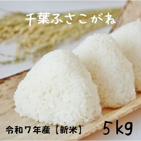 お米 5kg 新米 送料無料 無洗米可（オプション※無洗米加工という商品をカートに追加して下さい）令和7年産 新米 ふさこがね 千葉県産ふさこがね白米5kg【送料無料】（北海道、九州、離島を除く）ふっくら
