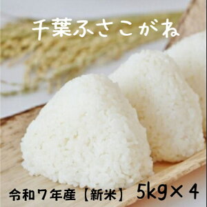  20kg ĉiIvVʓrwjV ӂ ߘa7NYtYӂ˔5kgx4ƌvāyzikCABAjƖpɂ