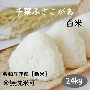  24kg  V  tӂ ߘa7NY ĉHE͕ʓrIvVwł܂@(kCB͕ʓr300~ꗣ͕ʓr500~)