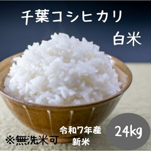 V 24kg   tRVqJ ߘa7NY ĉHE͕ʓrIvVwł܂@(kCB͕ʓr300~ꗣ͕ʓr500~)