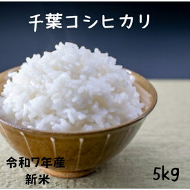 新米 5キロ 送料無料 令和7年産 無洗米可（オプション※無洗米加工という商品をカートに追加して下さい）　コシヒカリ白米5kg 甘味と粘り